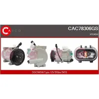 Casco CAC78306GS Aircopomp