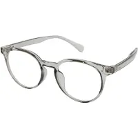 Vista Bonita Leesbril met Blauwlichtfilter Panto-Kadushi silver-+4.00