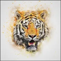 Allernieuwste.nl Canvas Schilderij Prachtige Witte Tijger - Moderne Kunst aan je Muur - Kleur - 60 x 60 cm