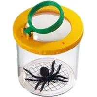 Safari Ltd Hoe Insecten Zien! Figuur