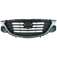 BLIC Radiatorrooster 6502-07-3499994P