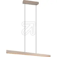 TRIO Hanglamp Donegal beige