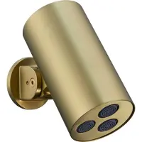Boss & Wessing Hoofddouche bws sensa cilinder muur geborsteld goud pvd