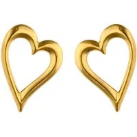 Gaya Oorbellen goud