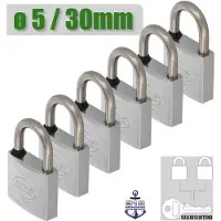 AMIG Klein Gelijksluitend Hangslot 6 Stuks - Ø5mm / 30x52mm Sloten Set - Marine Grade Materiaal - Compact en Lichtgewicht - Master Key Systeem