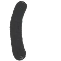 Sibel Bun Roll Nylon Black