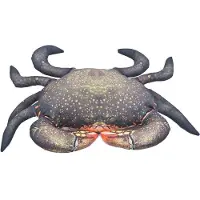 Gaby Het Modderkrab Medium Kussen