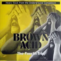 Coast2Coast Various Artists - Brown Acid: The Fourth Trip (LP)