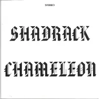 Import Shadrack Chameleon