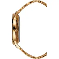 Orphelia Portobello herenhorloge Goudkleurig OR62901