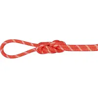 Mammut Alpine Classic 8 Mm Touw