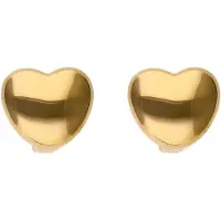 NAEMI Oorbellen goud