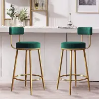 Novi at Home Set van 2 Luxe Fluwelen Barstoelen 65 cm – Padded Bistro Stoelen met Voetensteun voor Keuken, Bar & Pub – Moderne Velvet Counter Stools – Hoog Draagvermogen 130 kg
