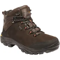 Regatta Grote buitenshuis Heren Burrell Leren Wandelschoenen (Fawn Brown)