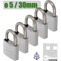 AMIG Klein Gelijksluitend Hangslot 5 Stuks - Ø5mm / 30x52mm Sloten Set - RVS AISI 316 Componenten - Compact Design - Veelzijdige Beveiliging