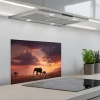 KitchenYeah Spatscherm 60x40 cm - Zelfklevende achterwand Olifanten - Grasland - Zonsondergang - Keuken muurbeschermer - Spatwand fornuis