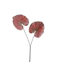 Ptmd kunstblad leaves - 62x57x90cm