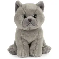 Living Nature Kat knuffel - Britse korthaar - grijs - pluche - 16 cm - poes knuffeldier