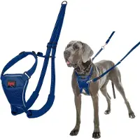 Halti No Pull Harness