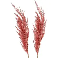 Top Art TopArt Pampasgras pluim losse steel/tak - 2x - oudroze - 100 cm - Decoratie kunst bloemen/graspluimen