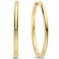 Ti sento Dames Oorbellen - 925 zilver - Zilver geel verguld - 78007SY