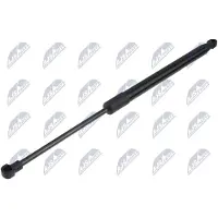 NTY AE-PE-057 Gasveer achterklep