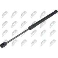 NTY AE-SU-006 Gasveer achterklep