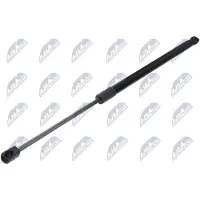 NTY AE-SK-051 Gasveer achterklep