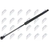 NTY AE-RE-085 Gasveer achterklep