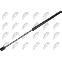 NTY AE-SK-056 Gasveer achterklep