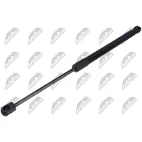 NTY AE-SU-009 Gasveer achterklep