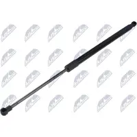NTY AE-NS-047 Gasveer achterklep