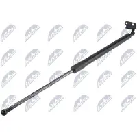NTY AE-MZ-028 Gasveer achterklep