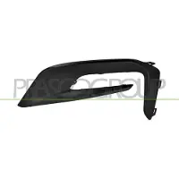 PRASCO FD8091243 Ventilatiegrille, bumper