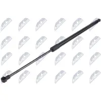 NTY AE-SE-036 Gasveer achterklep
