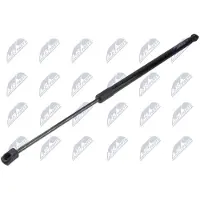 NTY AE-HY-071 Gasveer achterklep