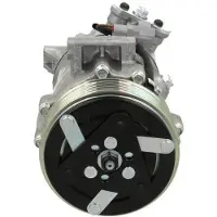 BV PSH 090.495.004.876 Aircopomp