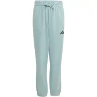 Adidas Sportbroek 'Slogan' mintgroen / zwart