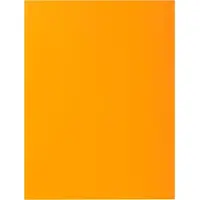 Exacompta ROCK''S 80 - Pak van 100 inlegmappen 22x31cm voor A4 - Oker - 800026E
