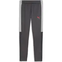 Puma Sportbroek 'Individual Liga' grijs / grafiet / donkergrijs