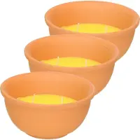 Trendoz Citronella kaars - 5x - in terracotta pot - D13 cm - citrusgeur