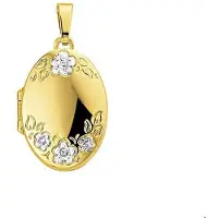 The Jewelry Collection Trendjuwelier huiscollectie 4005868 Gouden medaillon