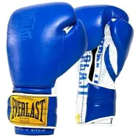 Everlast 1910 Sparring Hook&loop Kunstleren Bokshandschoenen
