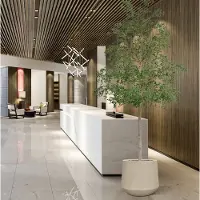 Maxifleur Kunstplanten Bucida shady Lady Kunstboom 400cm groen
