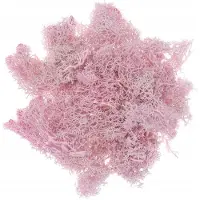 Usorteret Natuurlijk Rendier mos Roze 30g - Decoratie & Knutselen