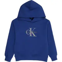 Calvin Klein Sweatshirt navy / grijs