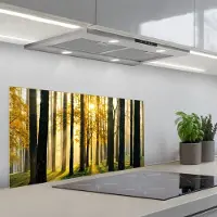 KitchenYeah Spatscherm 80x40 cm - Zelfklevende achterwand Bos - Zon - Bomen - Gras - Landschap - Natuur - Keuken muurbeschermer - Spatwand fornuis