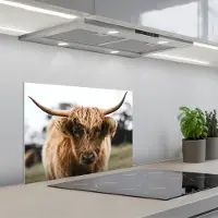 KitchenYeah Spatscherm 60x45 cm - Zelfklevende achterwand Schotse Hooglander - Koe - Gras - Dieren - Natuur - Keuken muurbeschermer - Spatwand fornuis