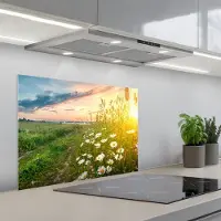 KitchenYeah Spatscherm 70x55 cm - Zelfklevende achterwand Bloemen - Madelief - Natuur - Zon - Horizon - Keuken muurbeschermer - Spatwand fornuis