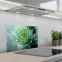 KitchenYeah Spatscherm 60x40 cm - Zelfklevende achterwand Blad - Plant - Groen - Textuur - Keuken muurbeschermer - Spatwand fornuis